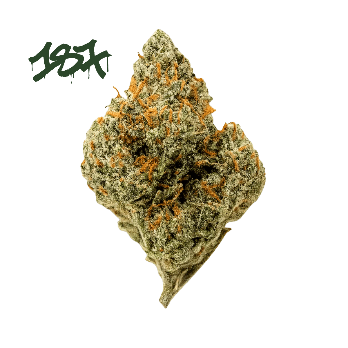 187 Cannabisflower 24K THC25