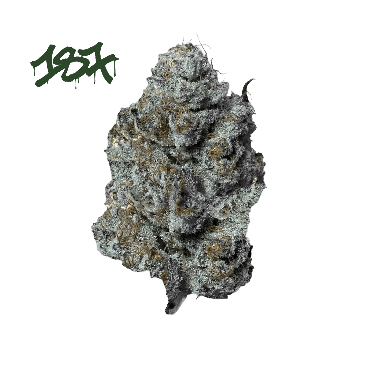 187 Cannabisflower BSCT THC22 Biscotti