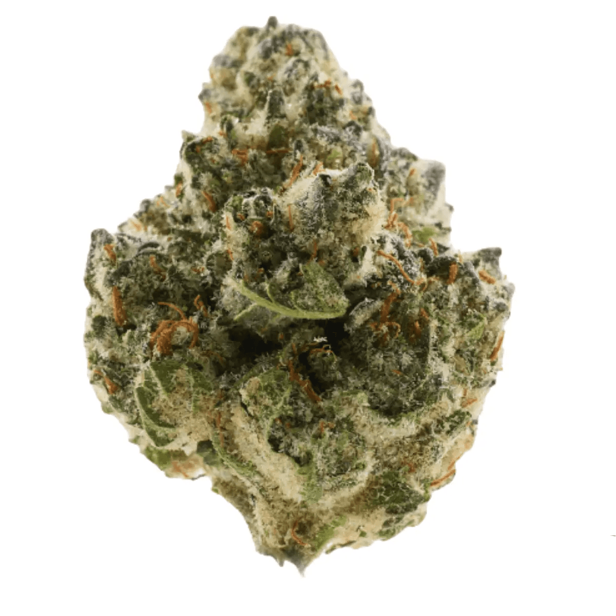 30/1 Amici BP Blue Pavé