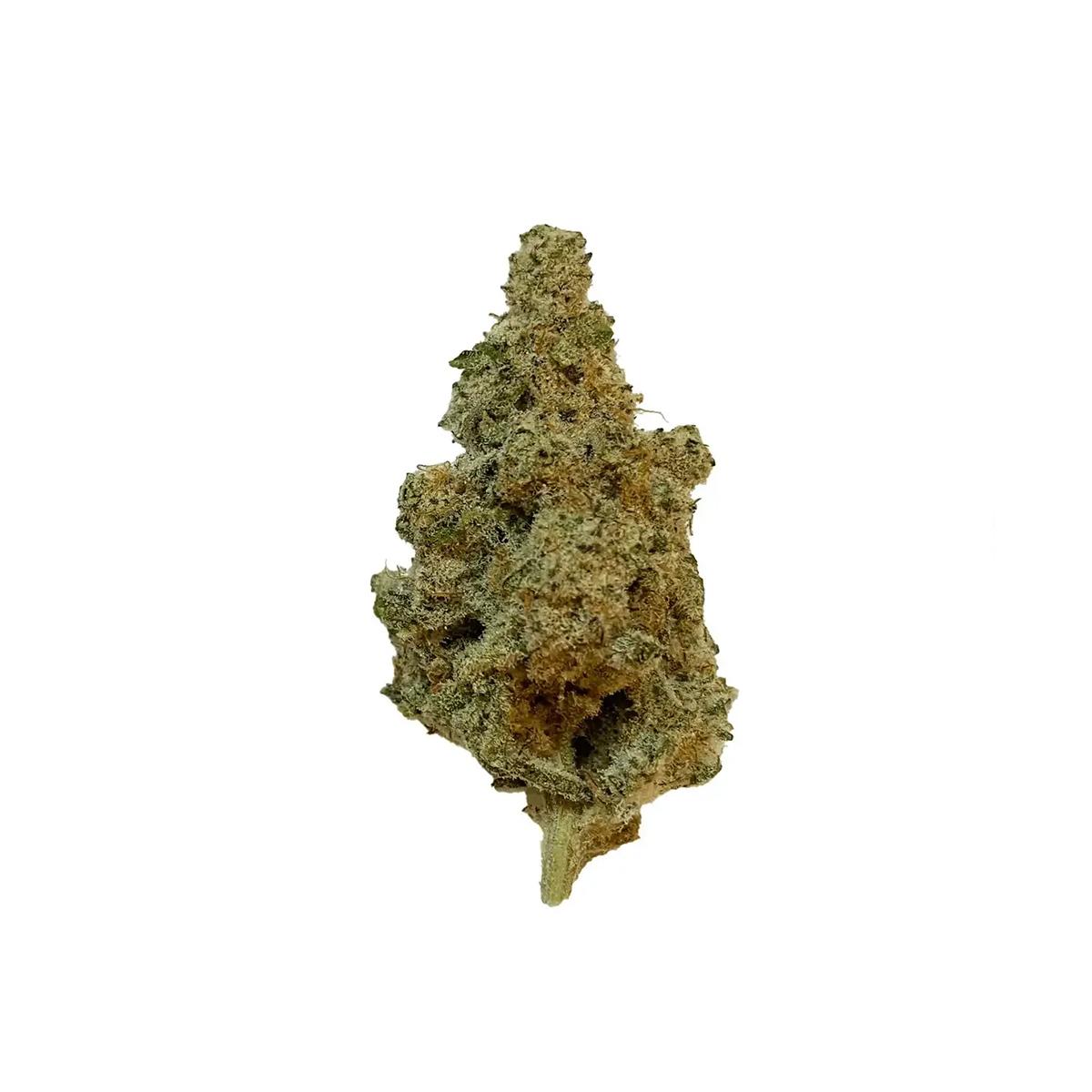 420 Evolution 20/1 CA MAC