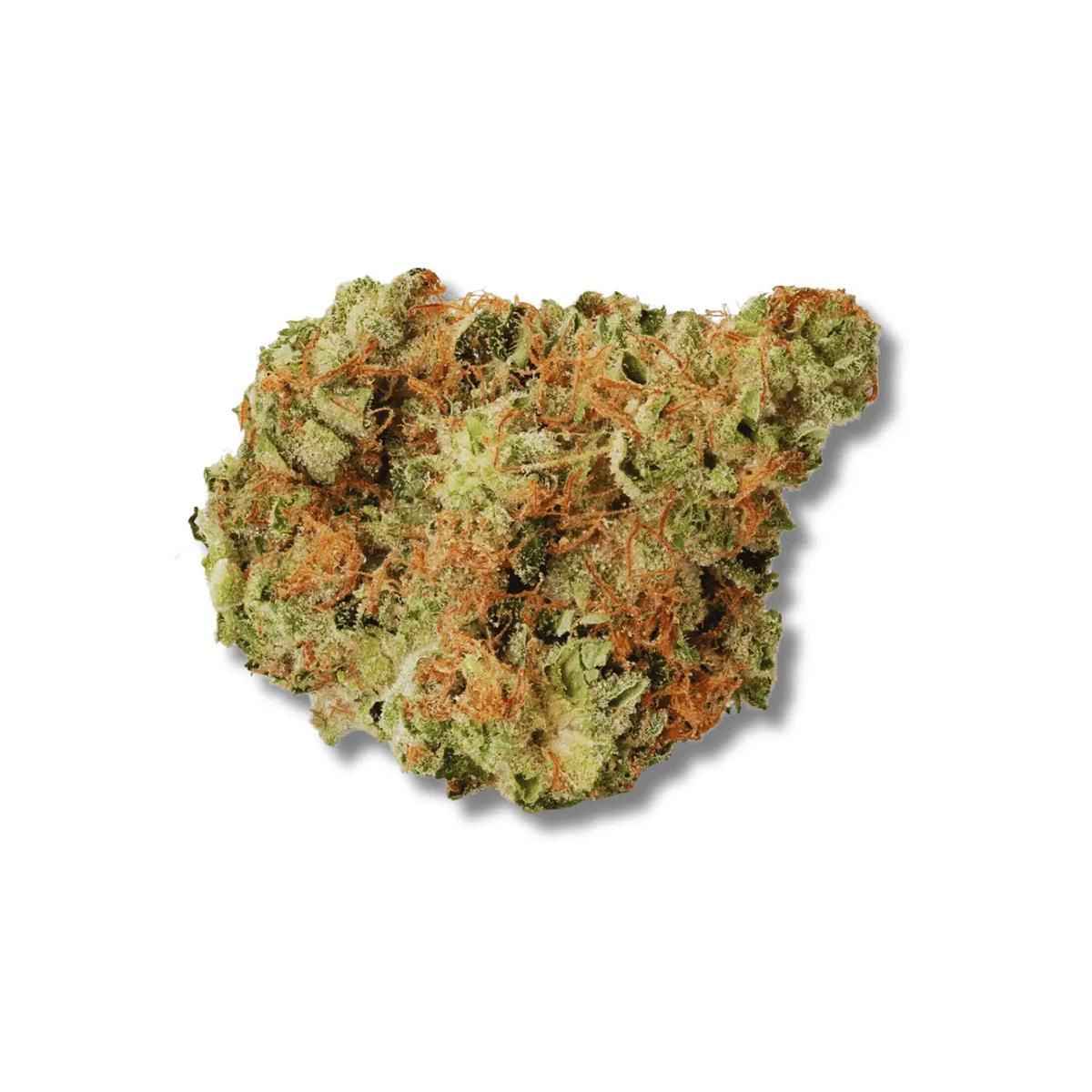 420 Evolution 27/1 CA BUL