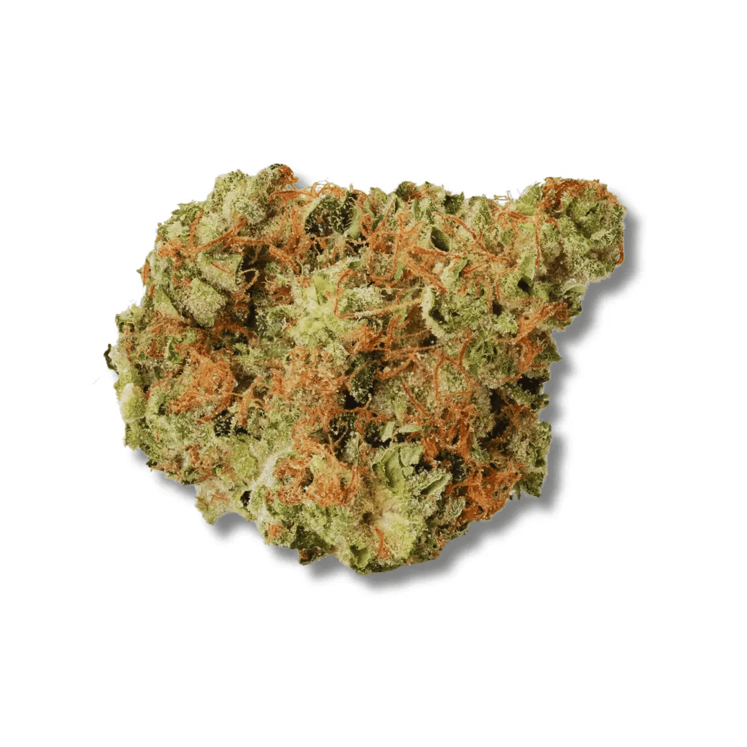 420 Evolution 30/1 CA BUL