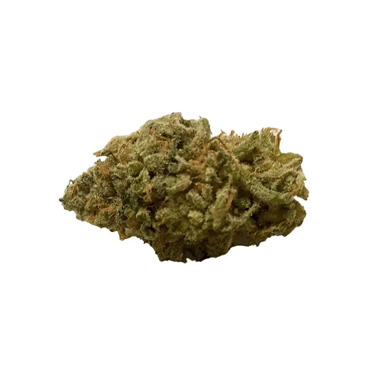 420 Evolution 30/1 FLM CA