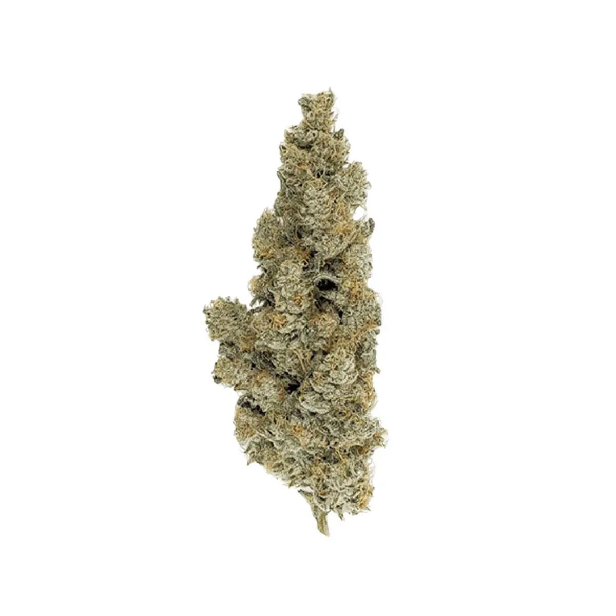 420 Evolution 30/1 CA ICC