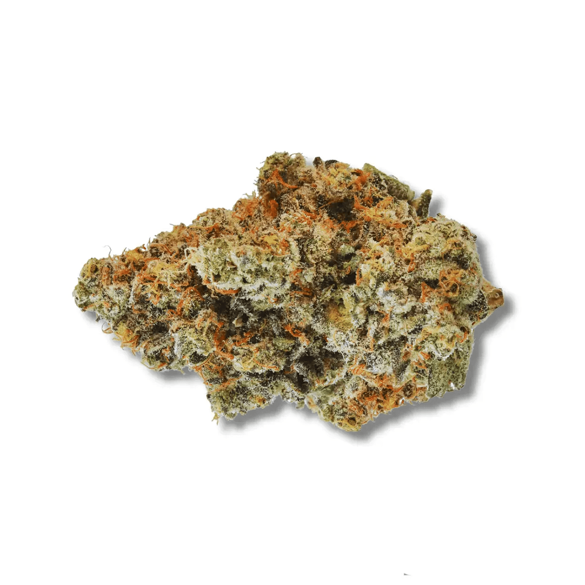 420 Evolution 30/1 CA WES