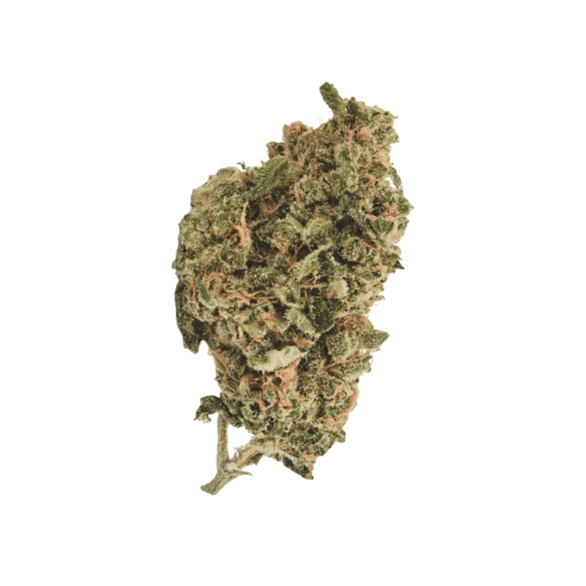 420 Sungrown 25/1 CA ZRP