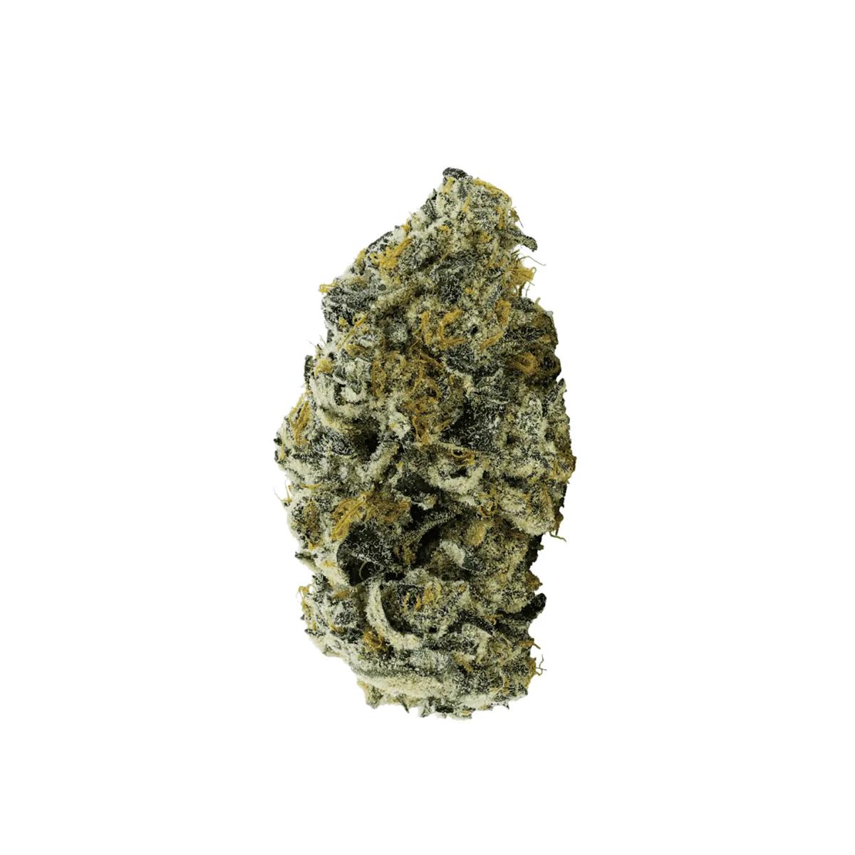 AVAAY 27/1 JFP Jet Fuel Pie