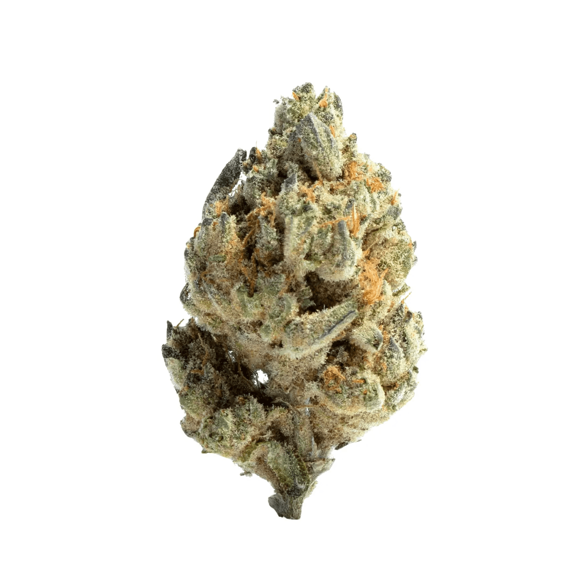 Apollo 28/1 JGN Think Fast