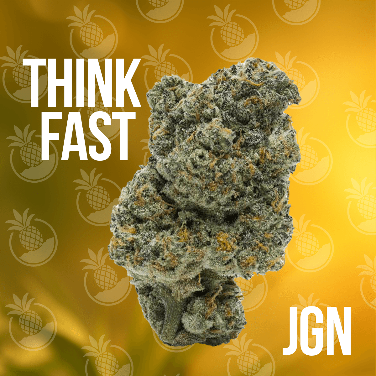 Apollo 28/1 JGN Think Fast