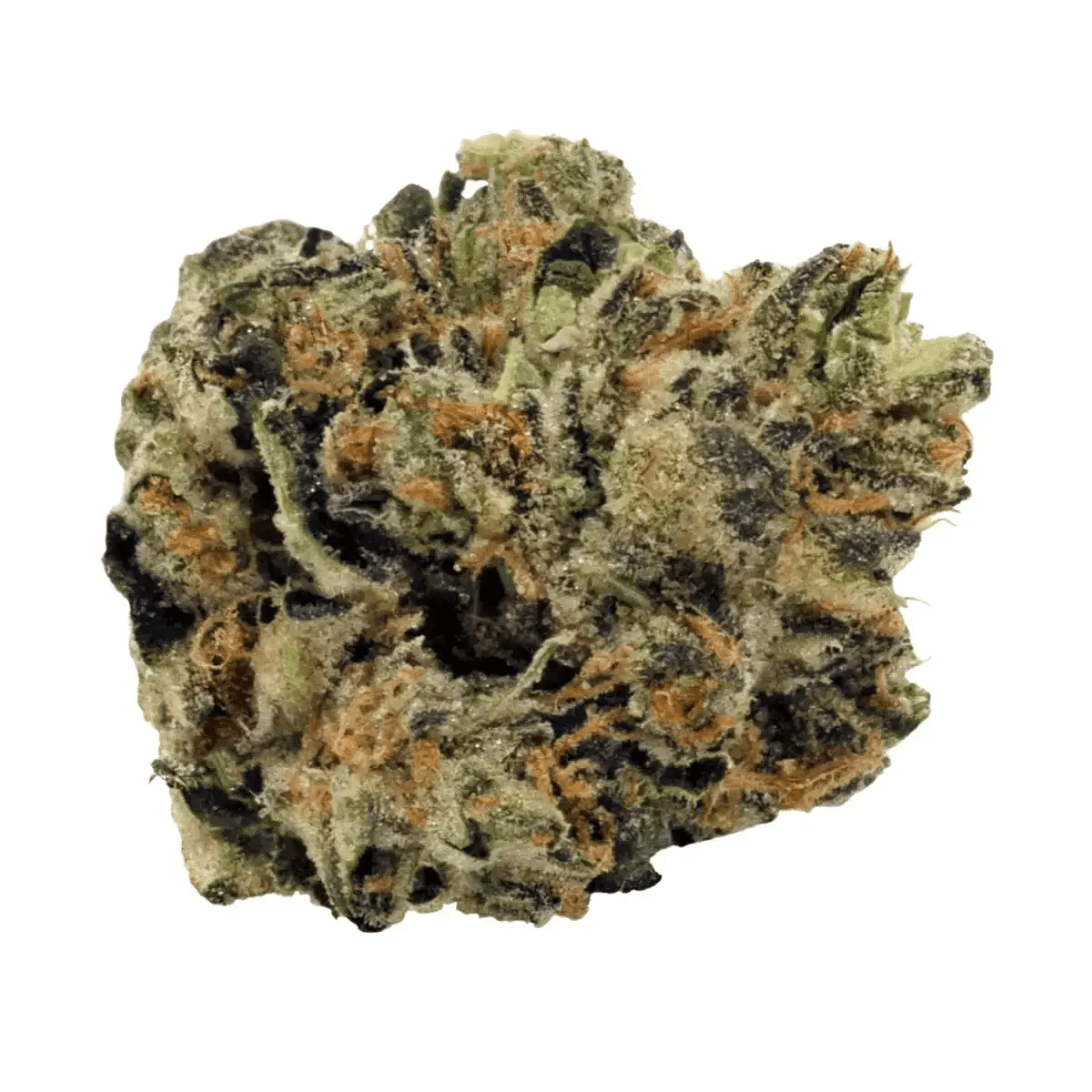 BC Green 30/1 Tiger Cake