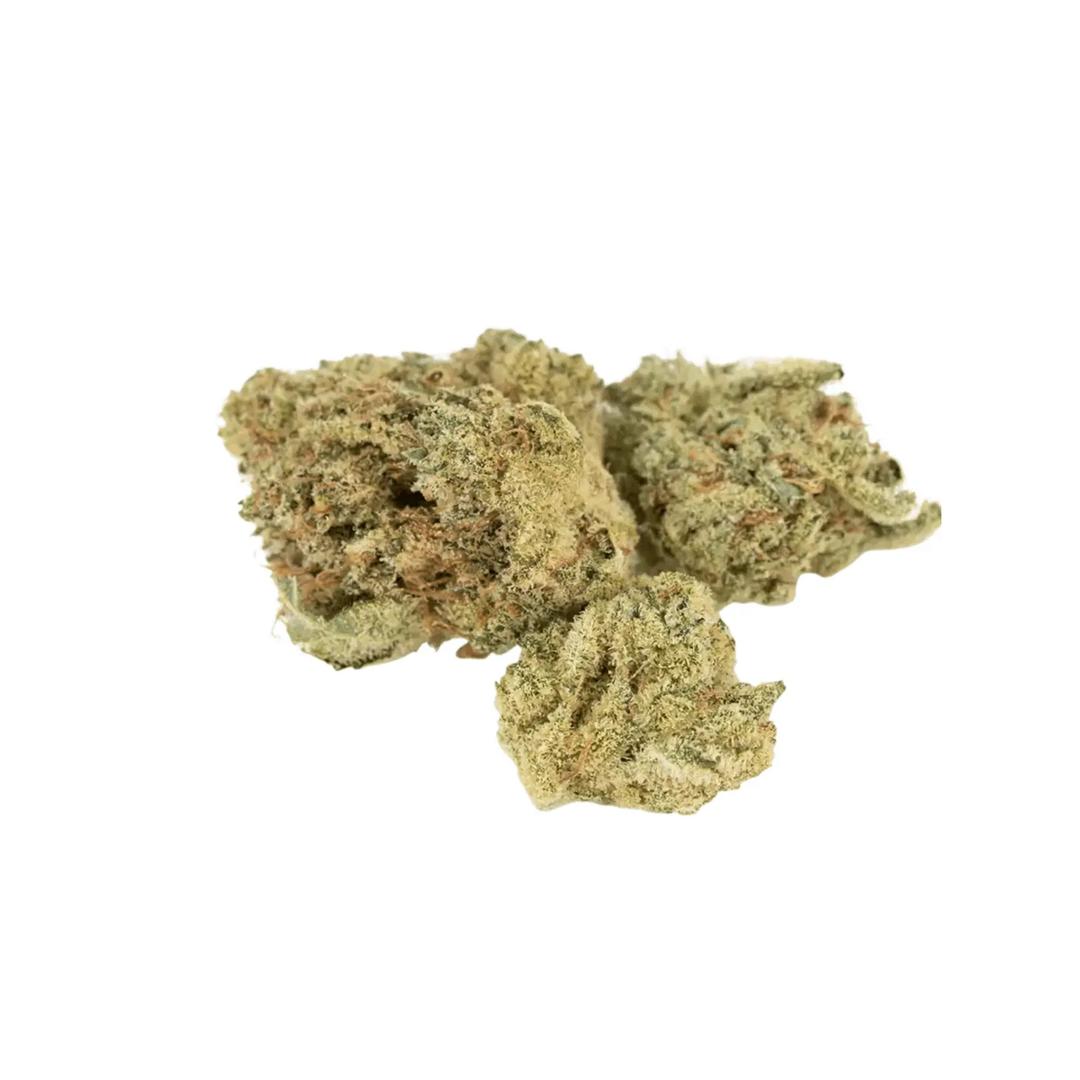 Barongo 26/1 BM Tropic Boom