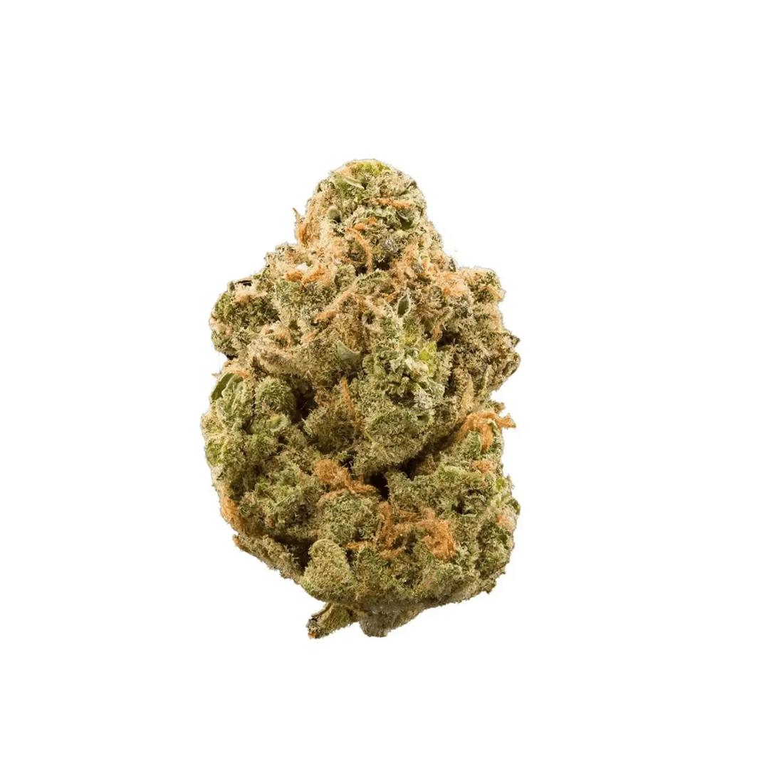 Bathera 23/1 DS Dank Sinatra