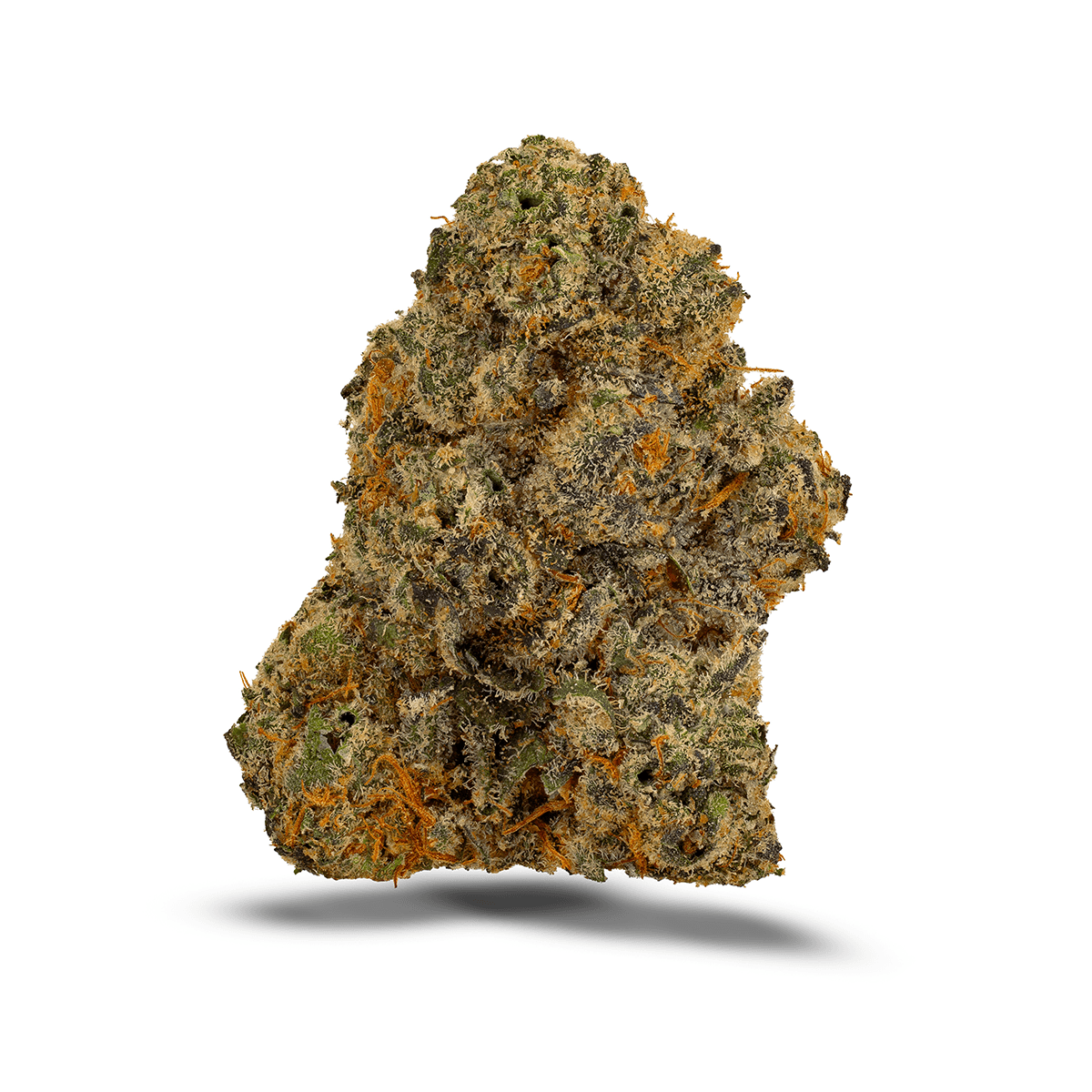 Bathera 25/1 Permanent Marker