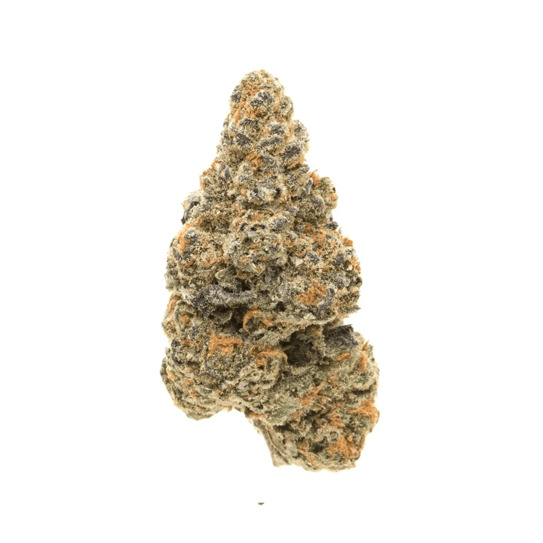 Beacon 30/1 GC Garlic Cookies