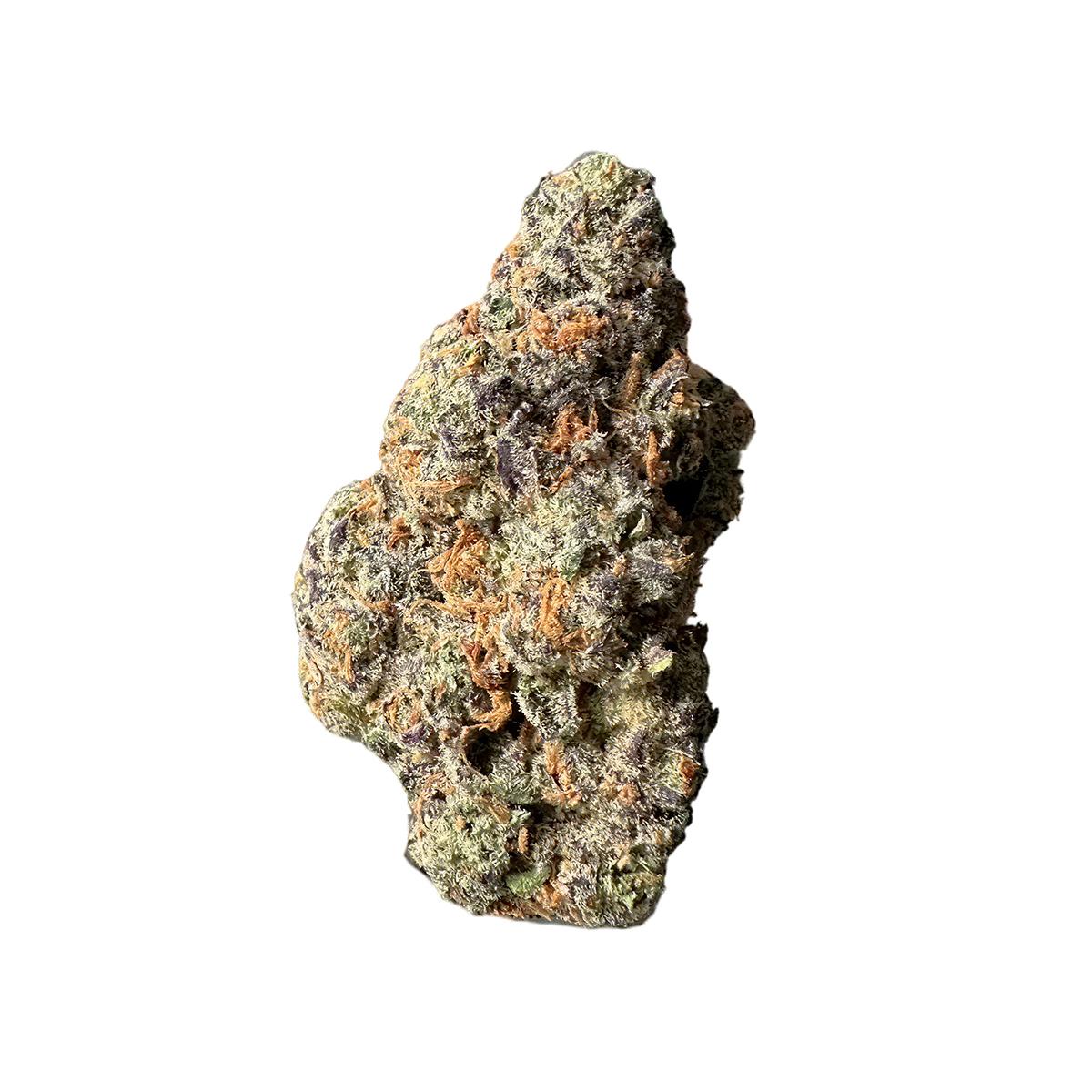 Botanics Orient Bazaar 22/1