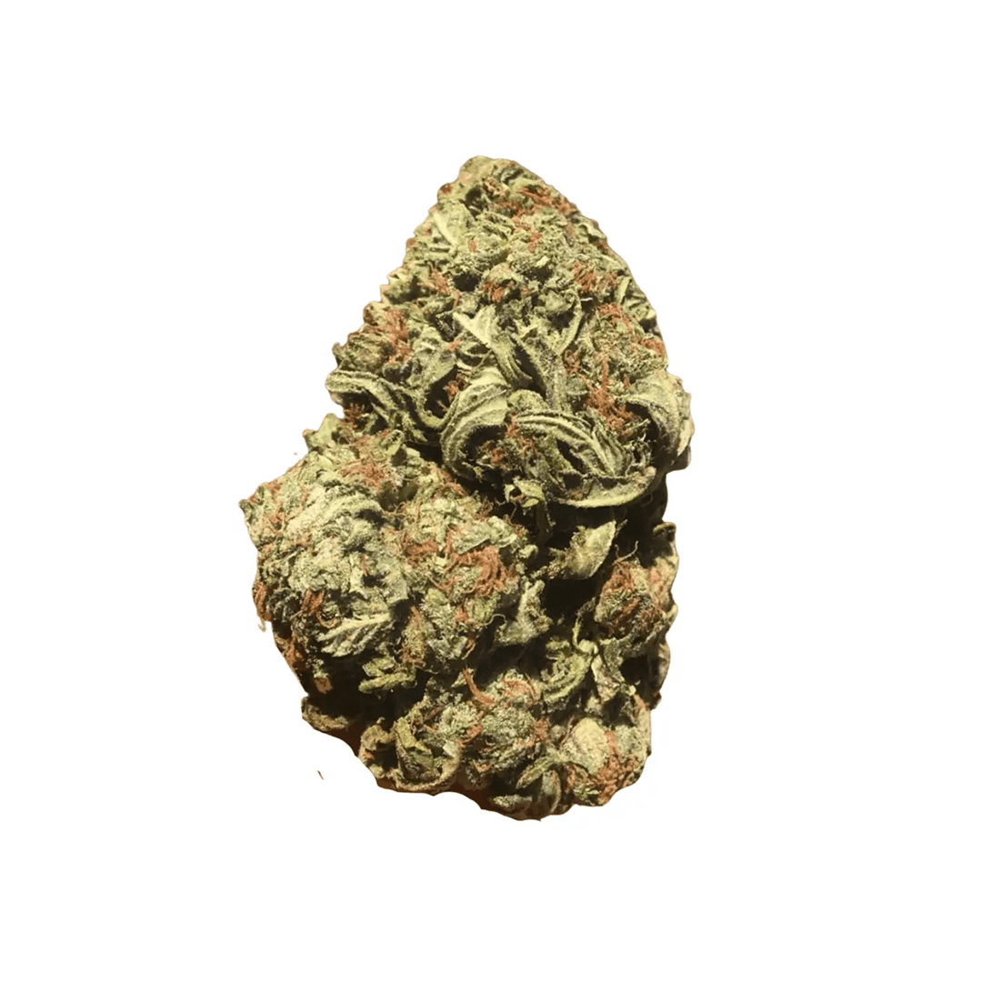 CM Hybrid Classic URY