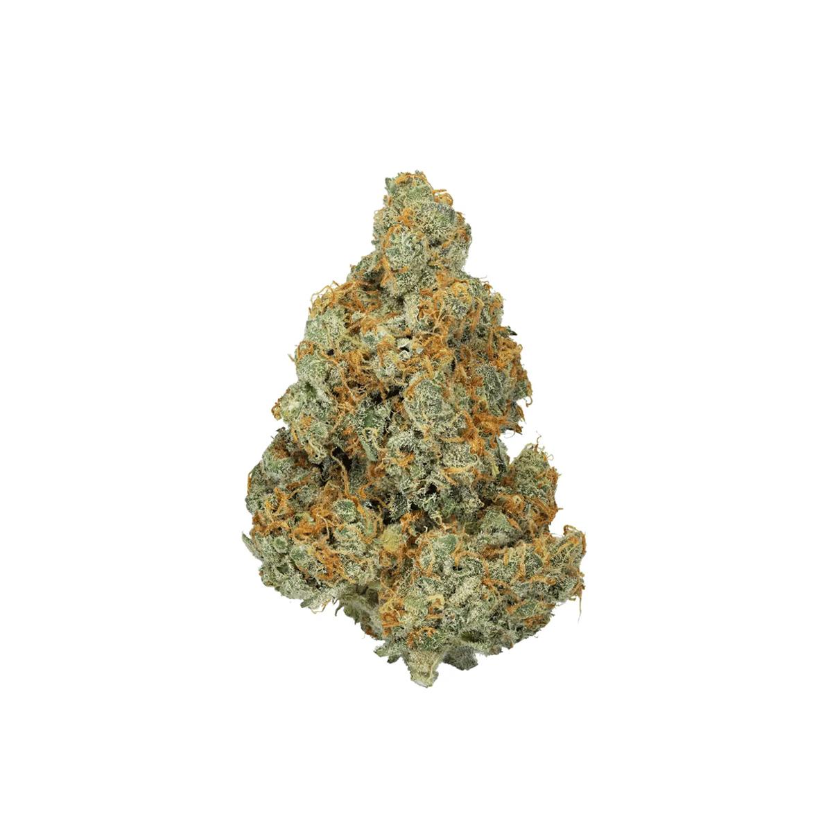 CNBS OCM 23/1 Orange Cookie Mac