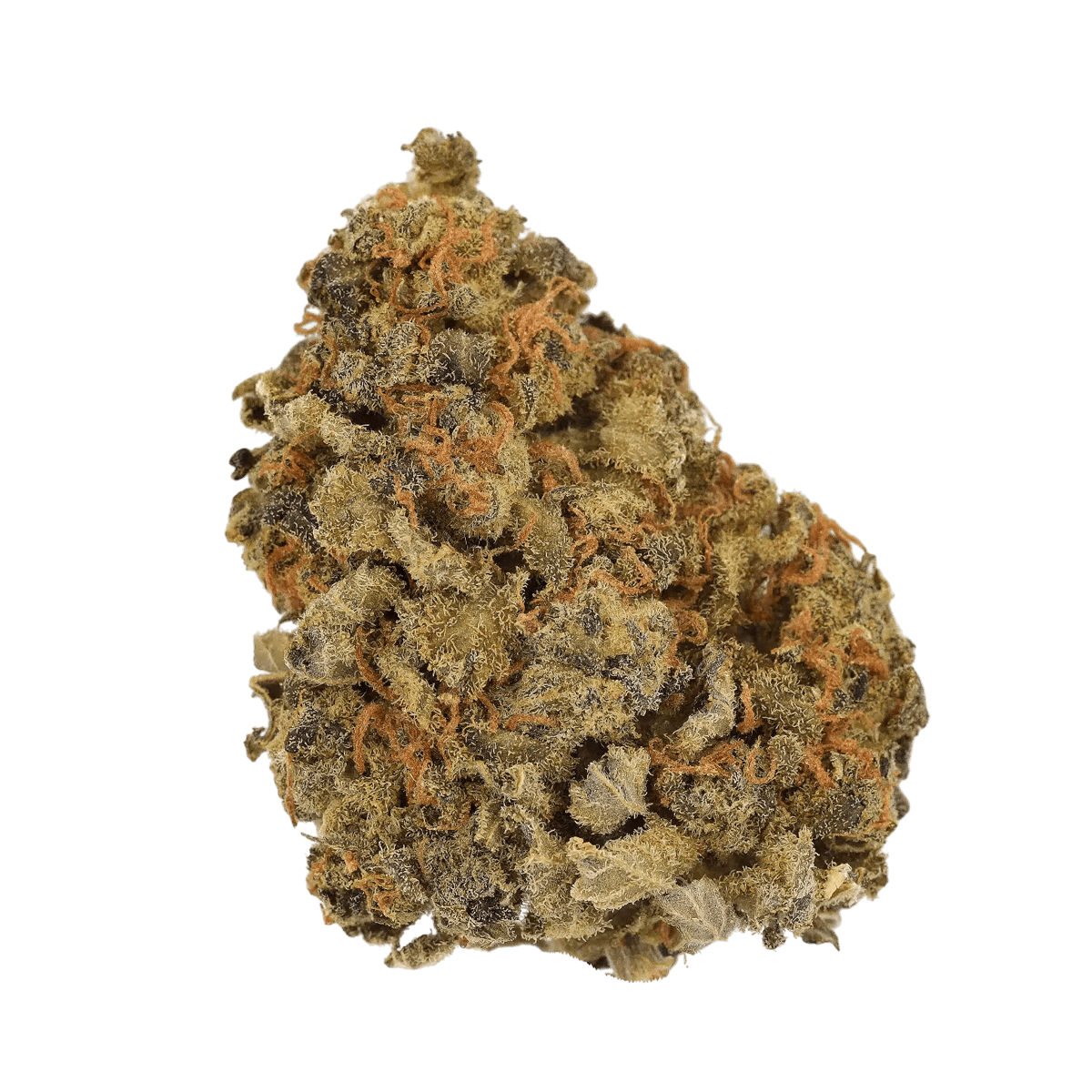 Candoro ethics 22:1 Hybrid OGK OG Kush