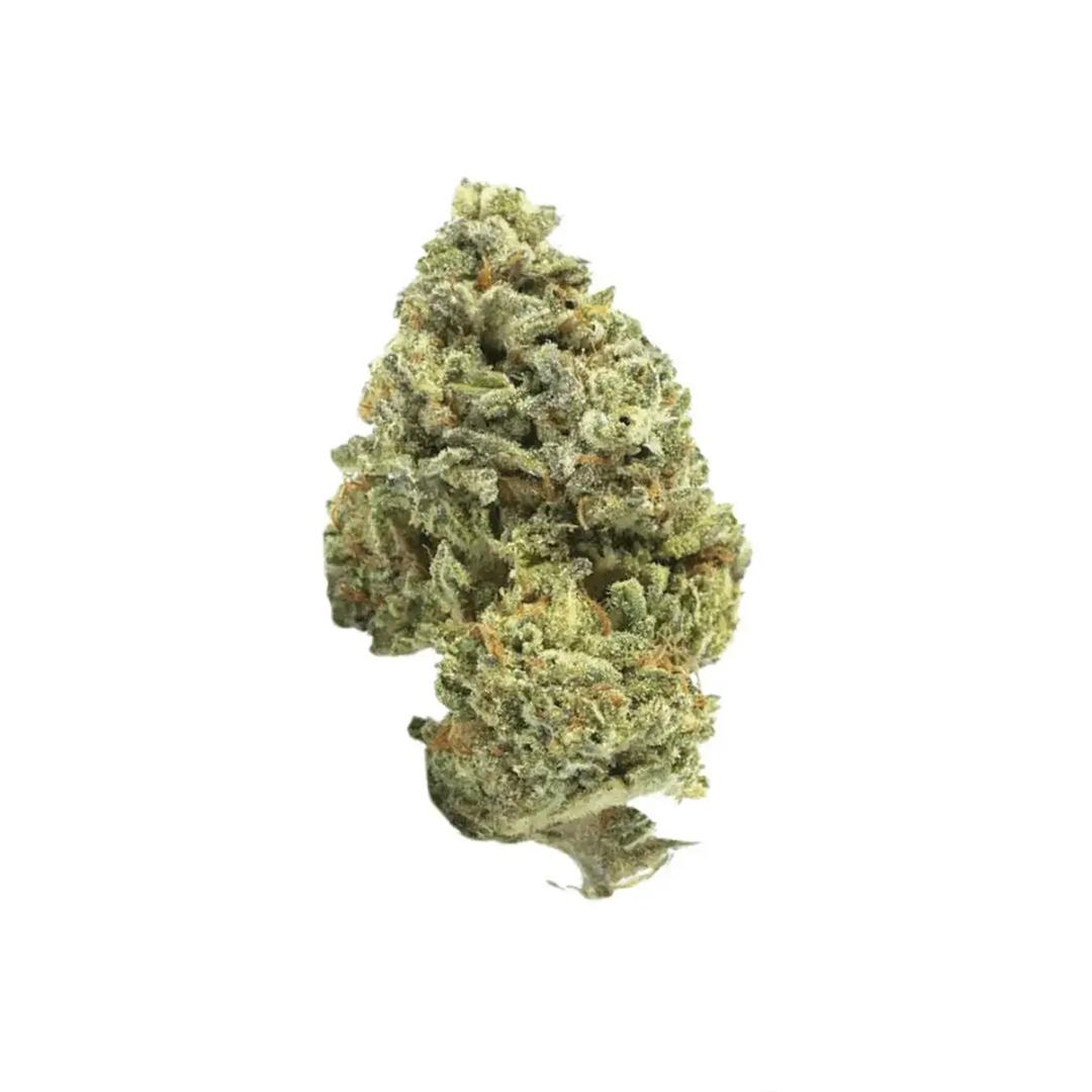 Canify Cannabis Flos 18/1 UY