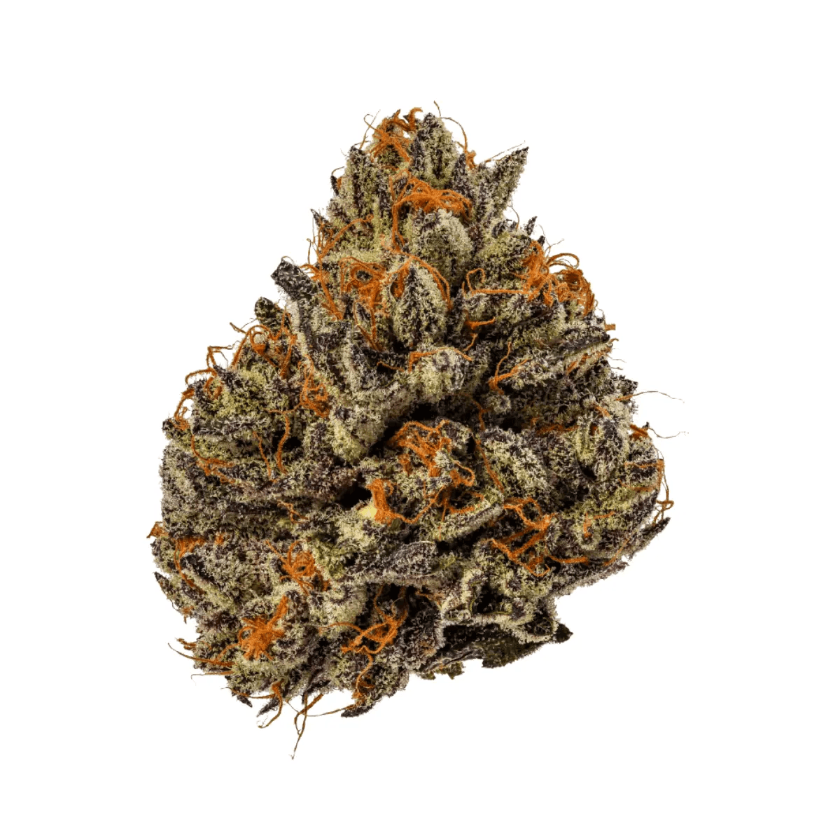 Cannabis flos 22/1 CL Ku. Tropicana Cookies