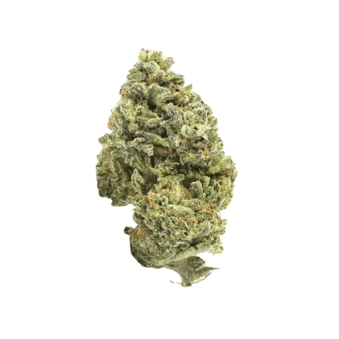 Cannabis flos 20/1 UY Ku.