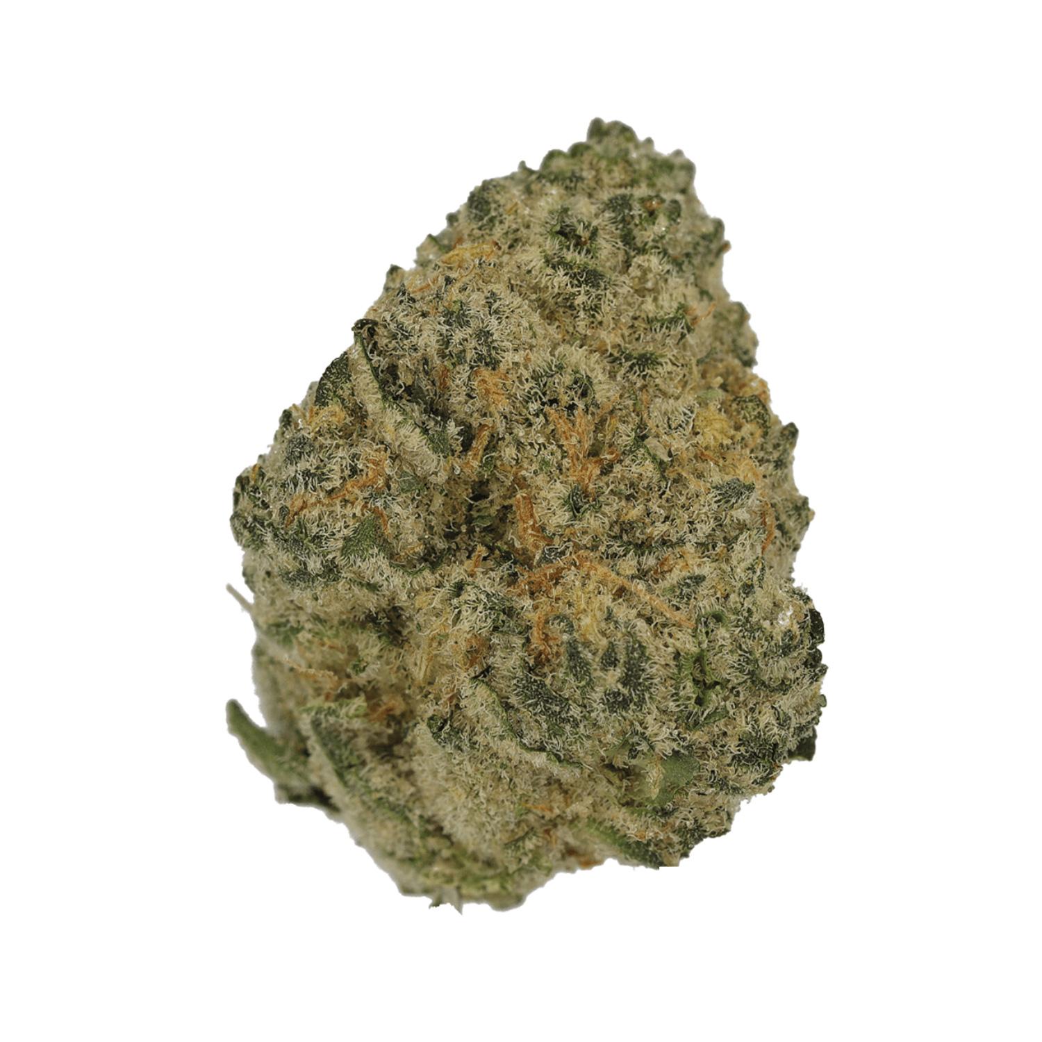 Cannamedical Sativa Ultra NM Polar Cookies