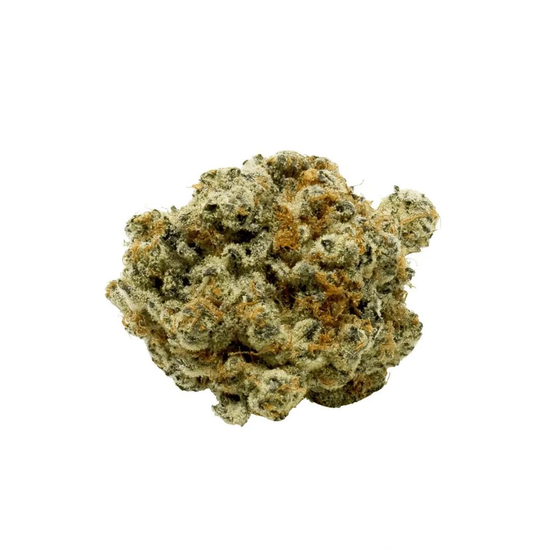 Canopy OGD 25/1
