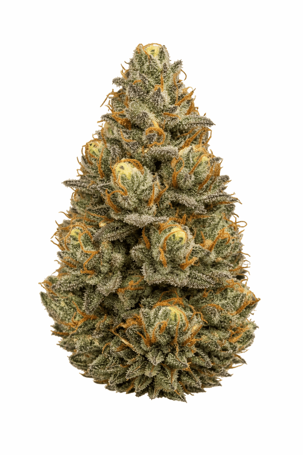 APEX SBP CA 30/1 Strawberry Passion