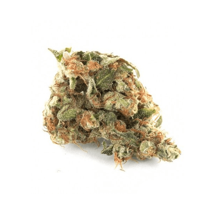 DocNow24 Cannabis Rezept online erhalten