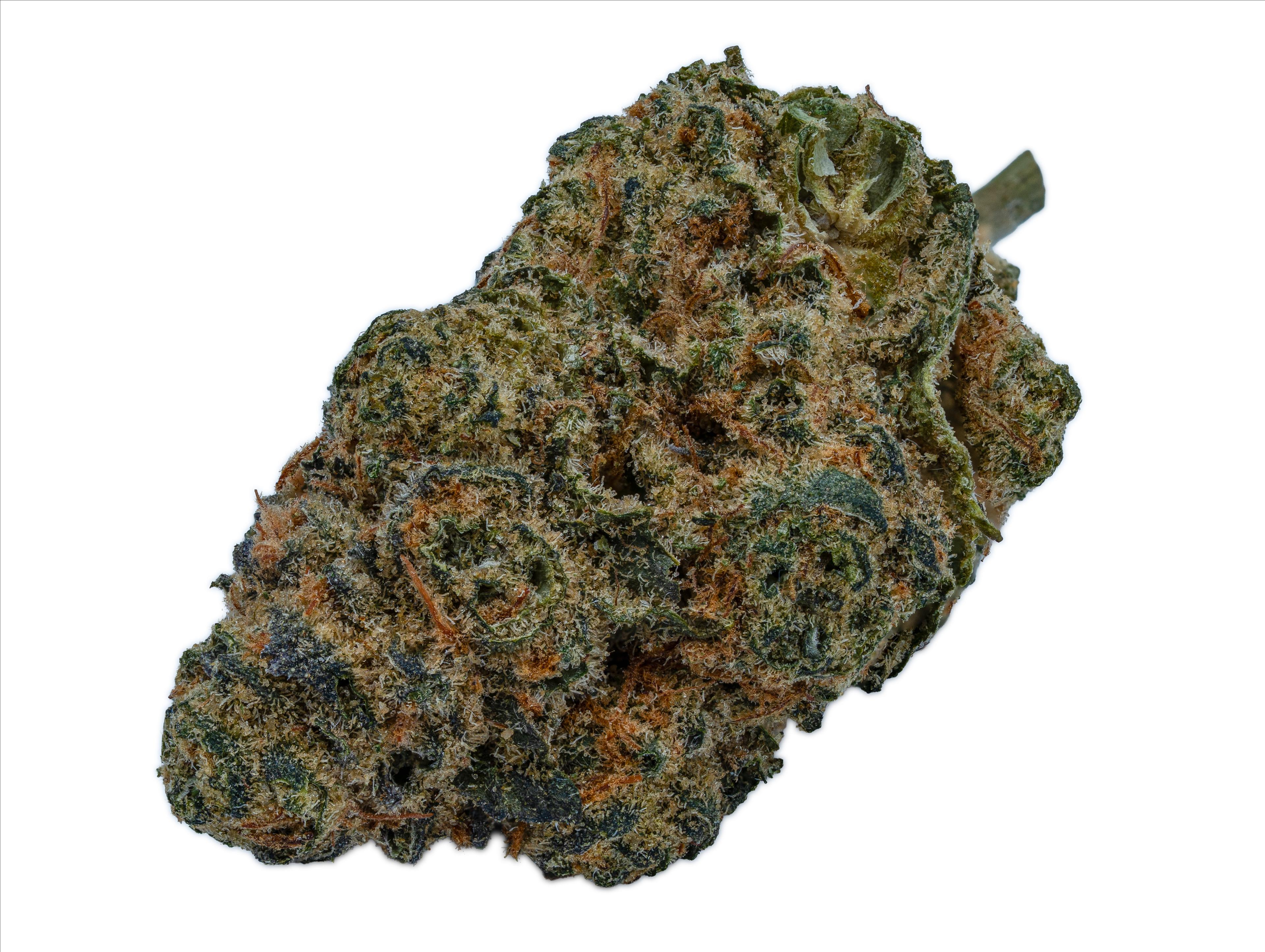 GROW RO 24 Moon Rocks