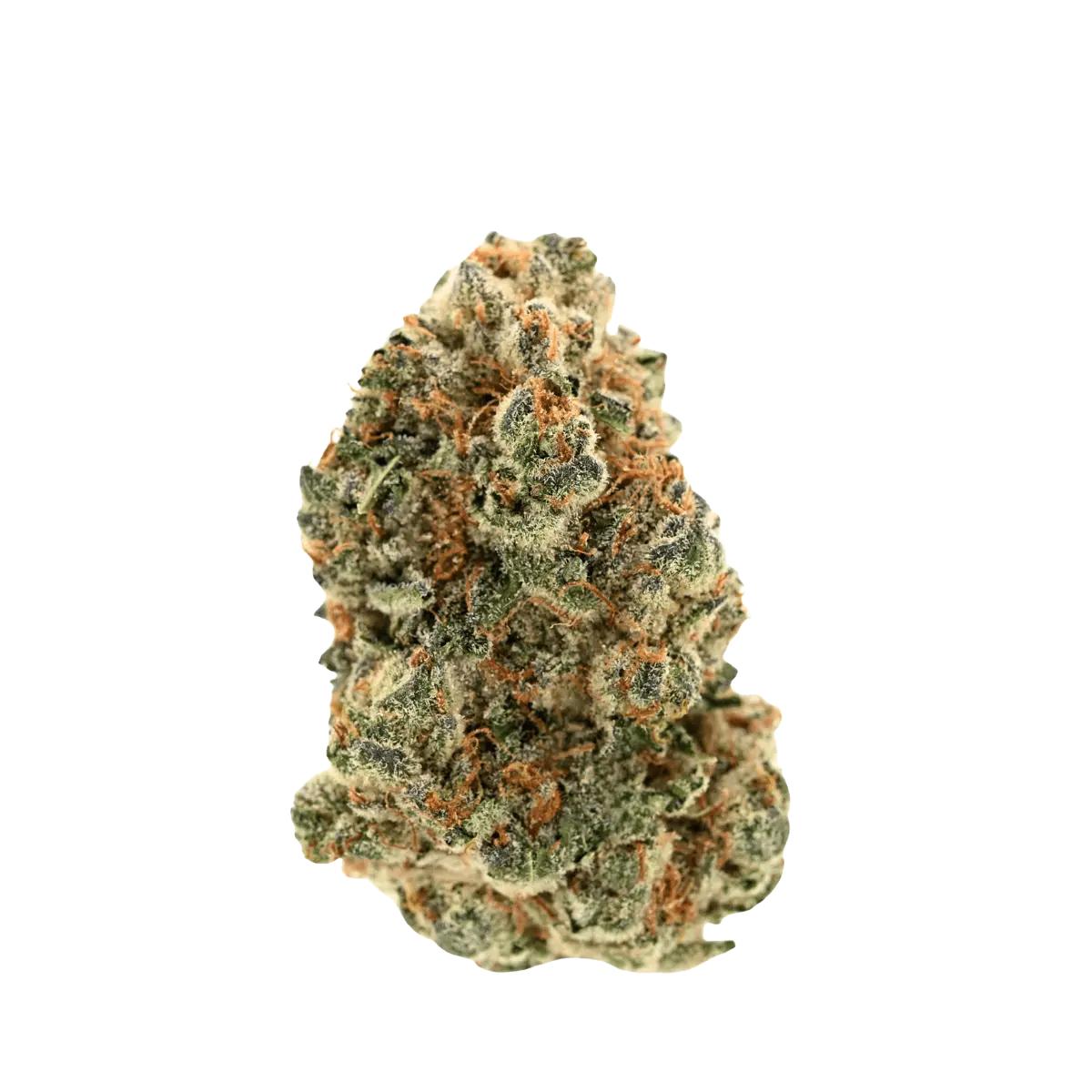 Demecan Craft Luna 31:01 Peechy Keen