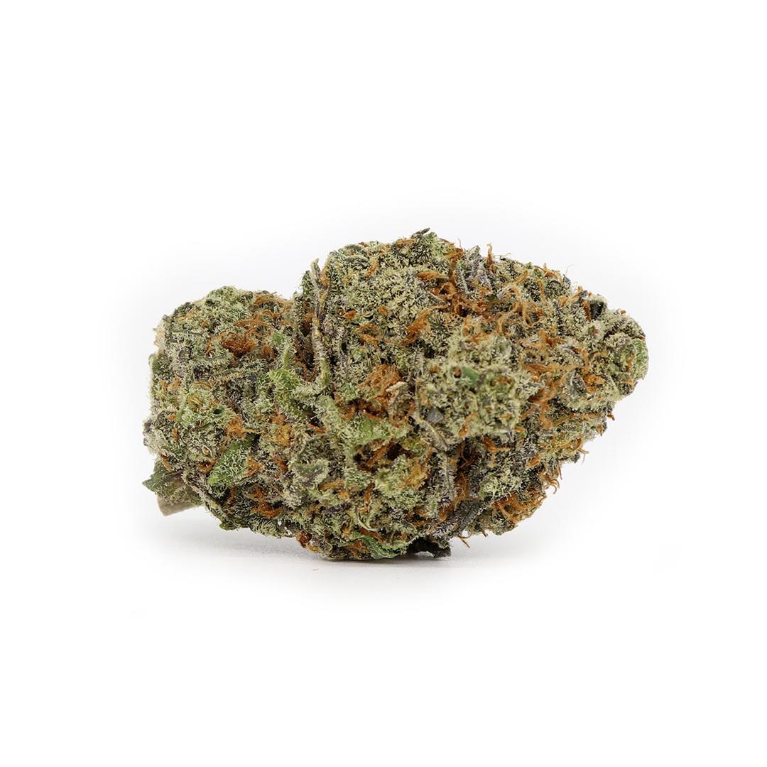 Dirty Zprite / 24