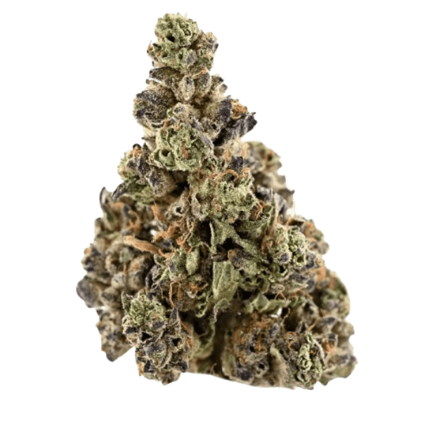 Demecan Core Veloz 27:01 Power