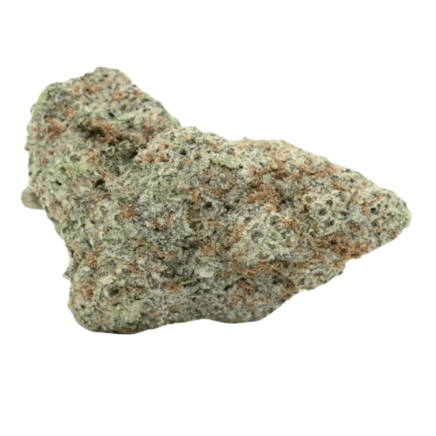 All Nations GM 29/1 Mac Doughnut