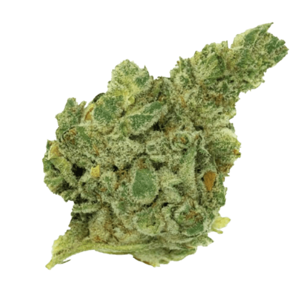 420 Natural 25/1 CA GG4 Gorilla Glue