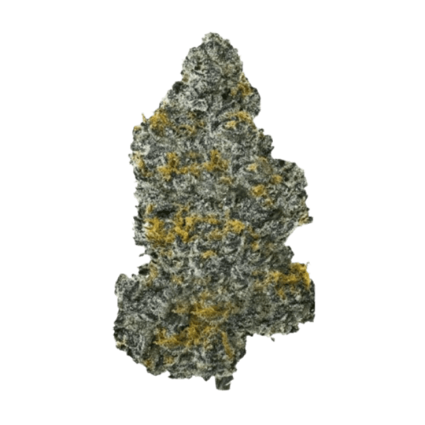 Buuo 24/1 SBLM Sour Blue Lemon