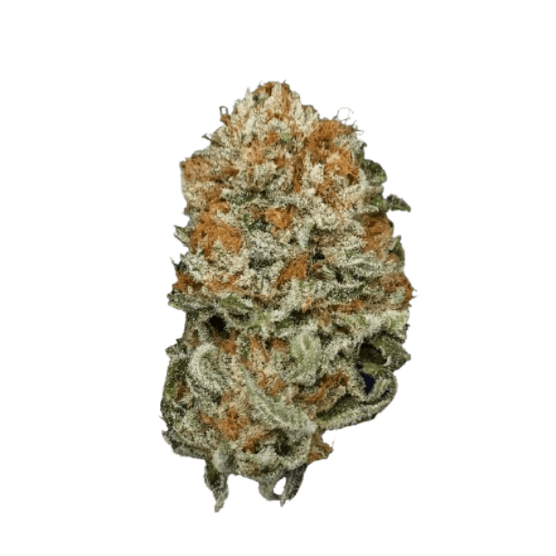 Buuo 30/1 KBP Dragon Berry Kush