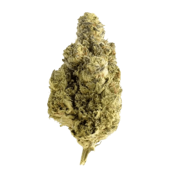 Slouu 25/1 PS3 CA OGK OG Kush