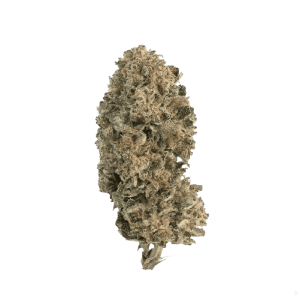 Cannamedical CM 28/1 PODDY Poddy Mouth 