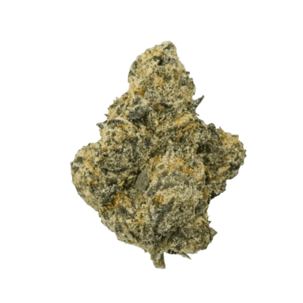 MC Regular Drop 25/1 Divorce Cake x Jungle Cake