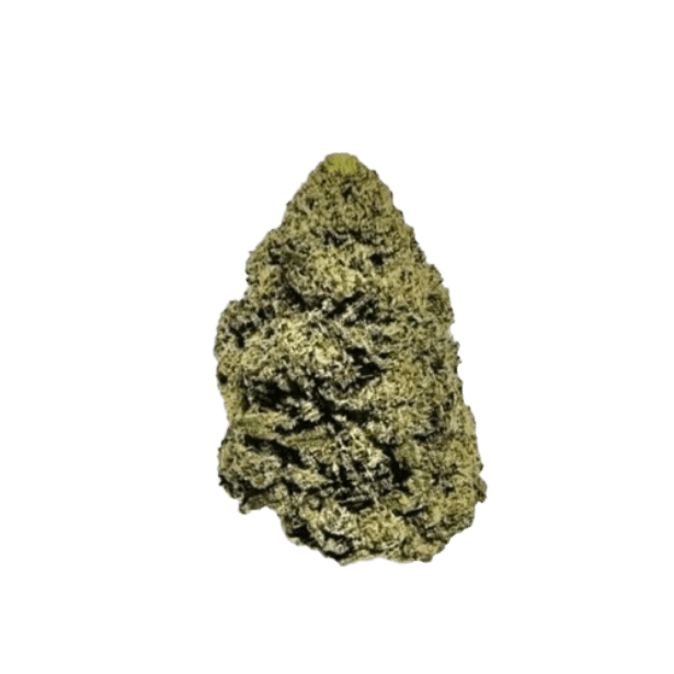 ZOIKS 22/1 MOC Mochellow