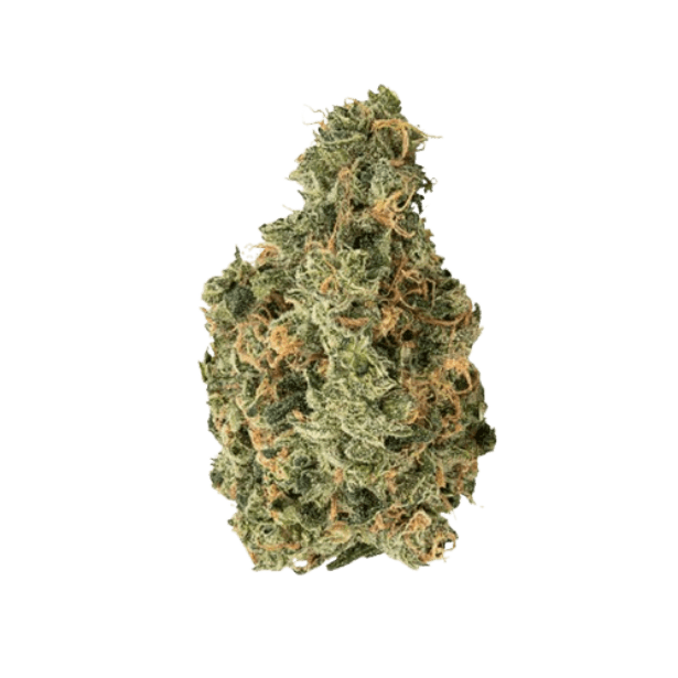 enua 30/1 GKM Gelatti Kush Mints