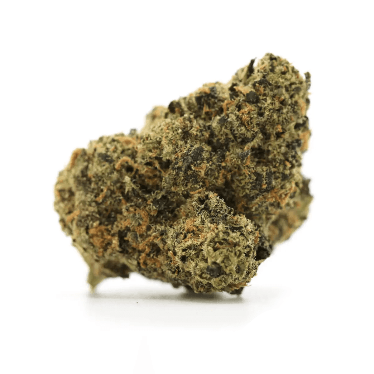 Green Karat MG 31/1 Modified Gas