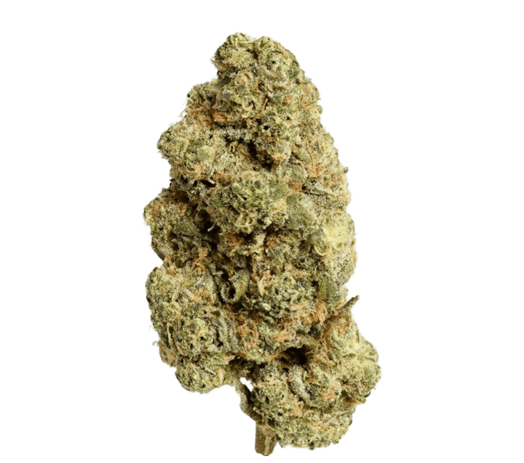 Care Cannabisflower GDF THC18