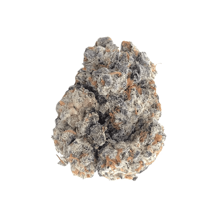 DocNow24 Cannabis Rezept online erhalten