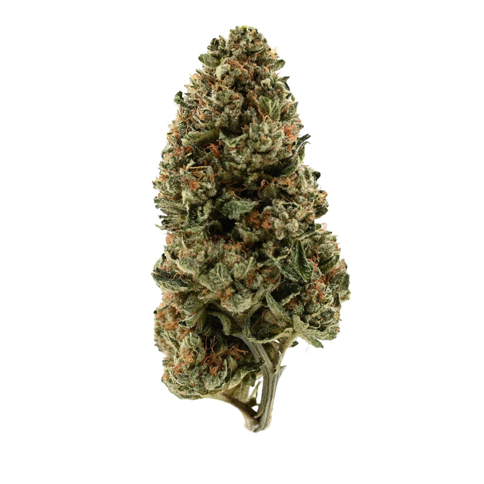 Demecan PS Light Drop 19/1 Orange Juice x Girl Scout Cookies