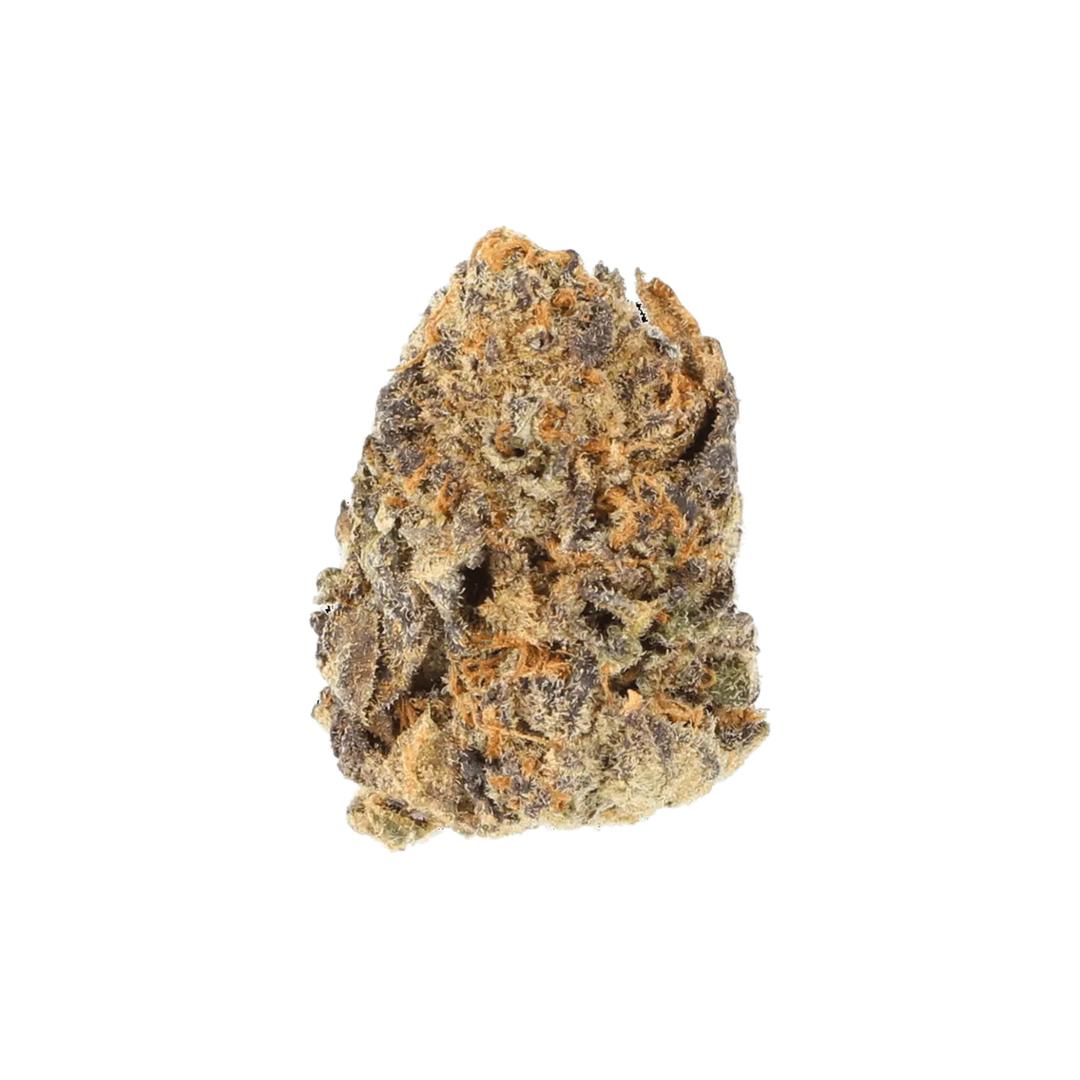 CM Indica forte MA