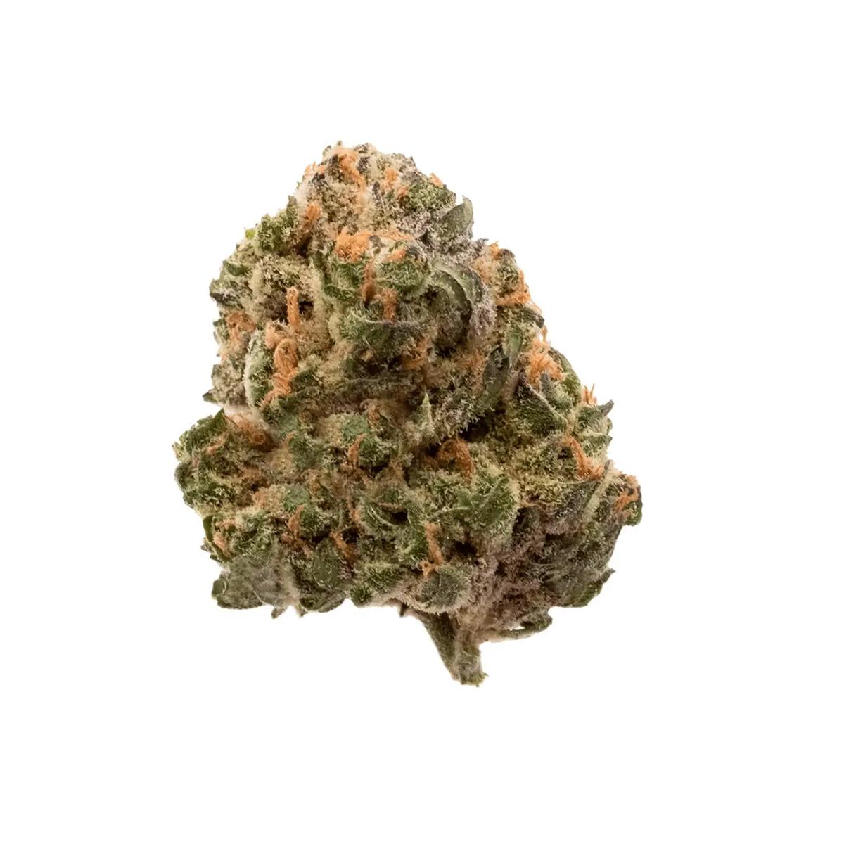 J.R. Strain GT 25/1 Garlic Truffle