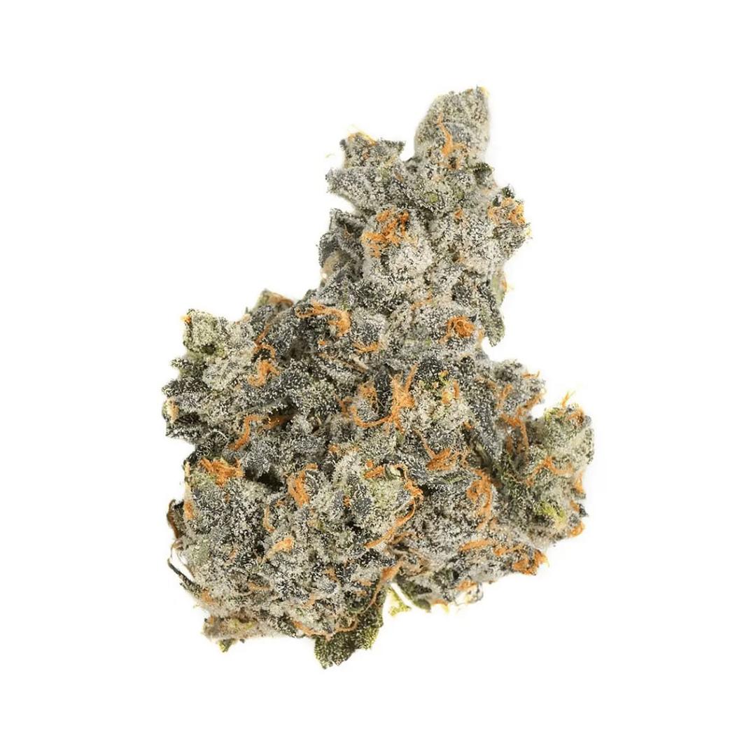 LOT 420 ATA PT