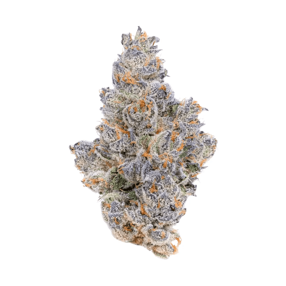 LOT 420 LEM PT Lemonatti